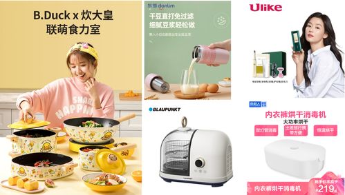 美容健康小家電搬進(jìn)家庭,小家電新類目帶來消費(fèi)品質(zhì)升級