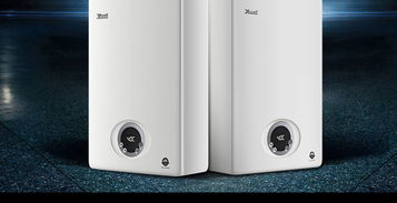 林內(nèi)燃?xì)鉄崴鱮us c10e32ar f 10升冷凝精控恒溫 熱水器 大家電 家用電器 手機(jī) 大家電 神利家 線上一站式家庭服務(wù)平臺